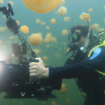filming underwater